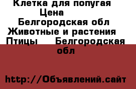 Клетка для попугая › Цена ­ 400 - Белгородская обл. Животные и растения » Птицы   . Белгородская обл.